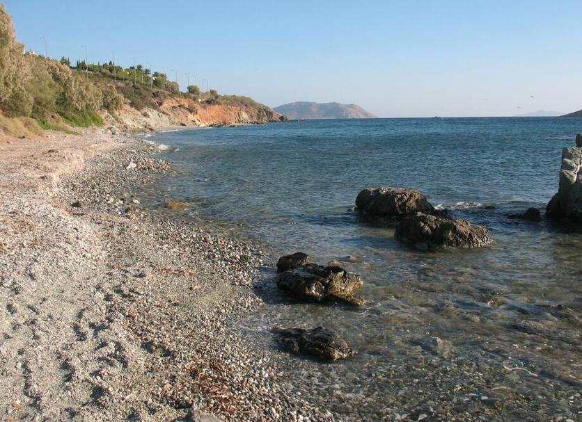 Other Photo