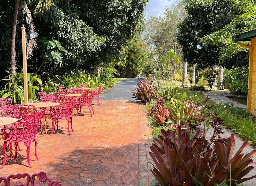 Patio Photo