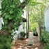 Casa 325 in Key West: brick garden walkway shaded by lush tropical trees beside the hotel