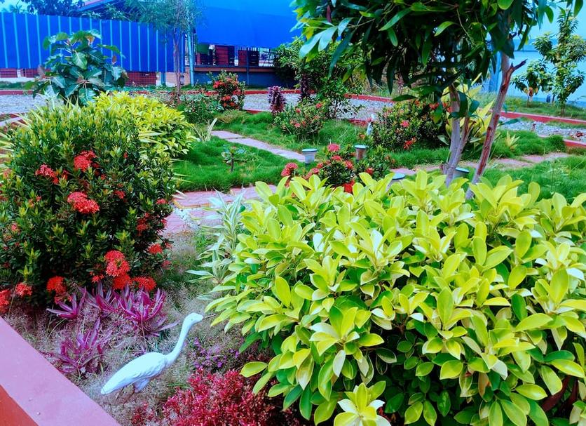 Outdoors view Photo