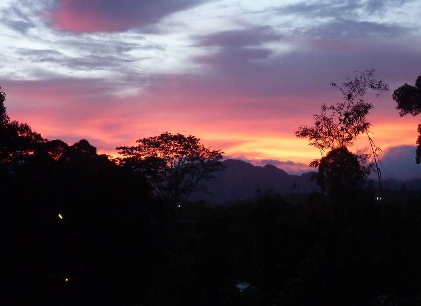 Outdoors view Photo
