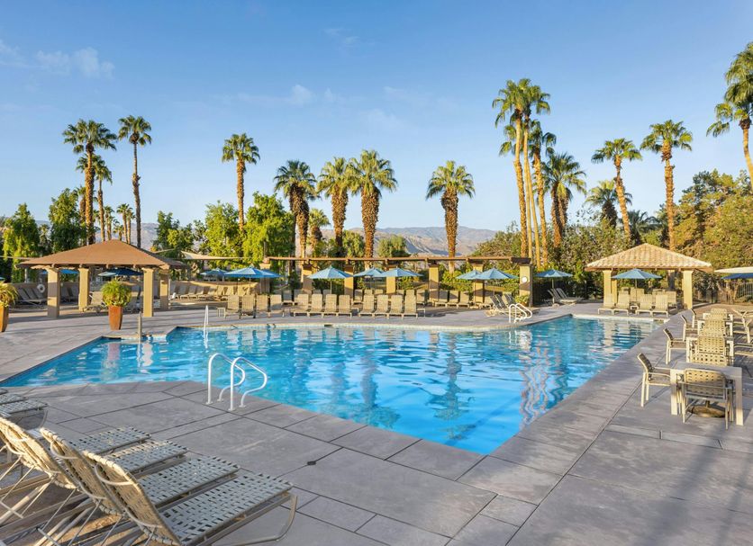 Marriott's Desert Springs Villas I, Palm Desert pool with palm trees and lounge chairs