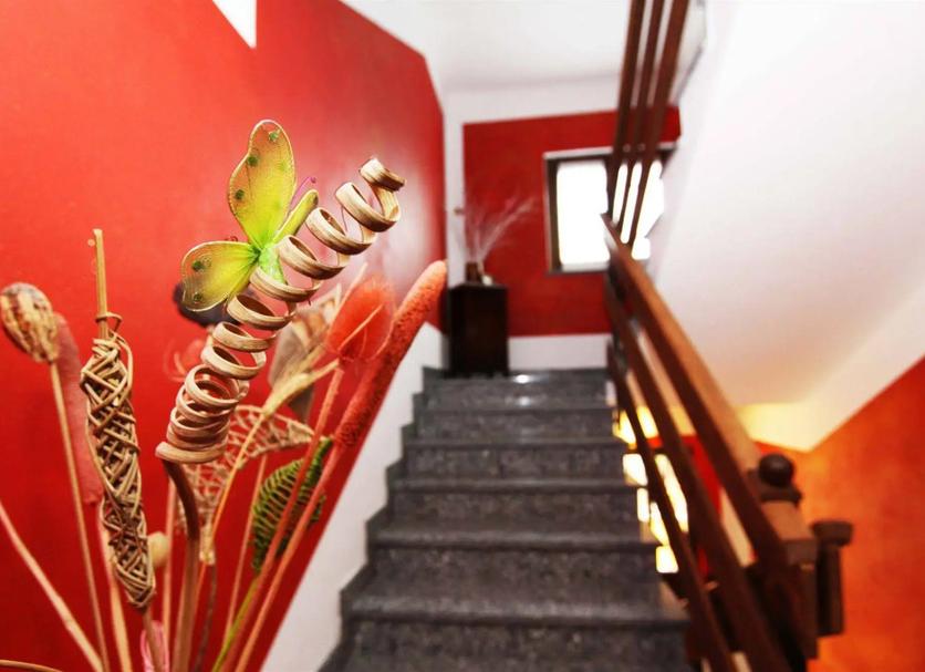 Stairs Photo