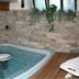 Residence Ruetoreif in Gressoney-Saint-Jean indoor hot tub with stone walls, wood decking and plants
