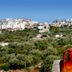 La Piana degli Ulivi in Ostuni with hillside olive groves and white buildings under a blue sky