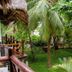 Langi Langi Beach Bungalows in Nungwi with tropical garden, palm trees, and wooden walkway