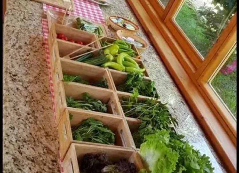 Buffet Photo