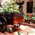 Hotel Regis Uruapan courtyard with carved wooden cart planter and lush greenery