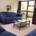Tussock Grove Boutique, Ohakune: lounge with blue sofa, coffee table, and garden-view window