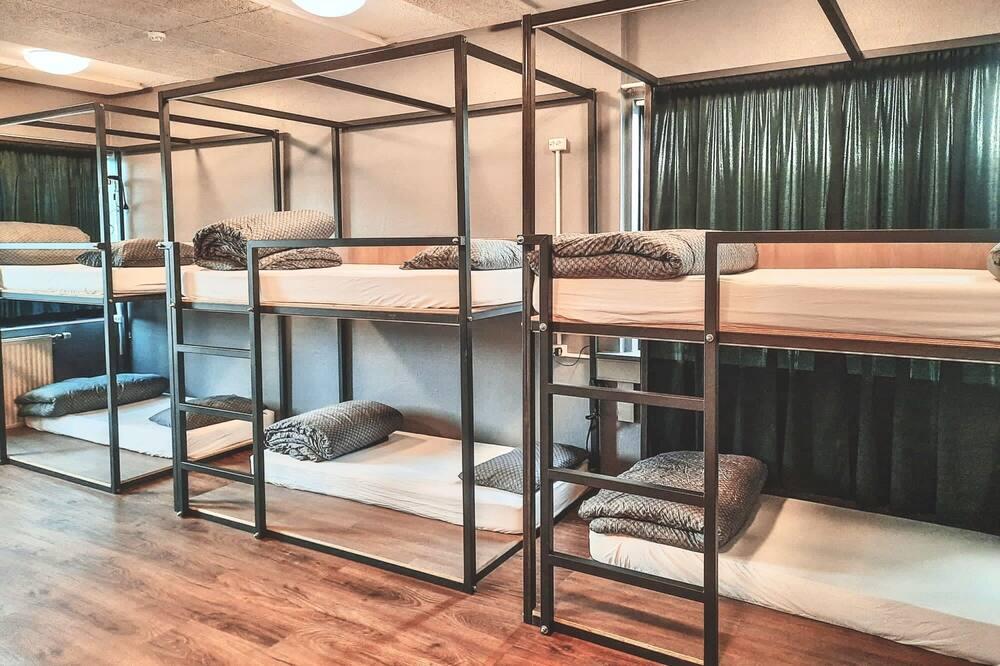 Bus Hostel from $34. Reykjavik Hotel Deals & Reviews - KAYAK