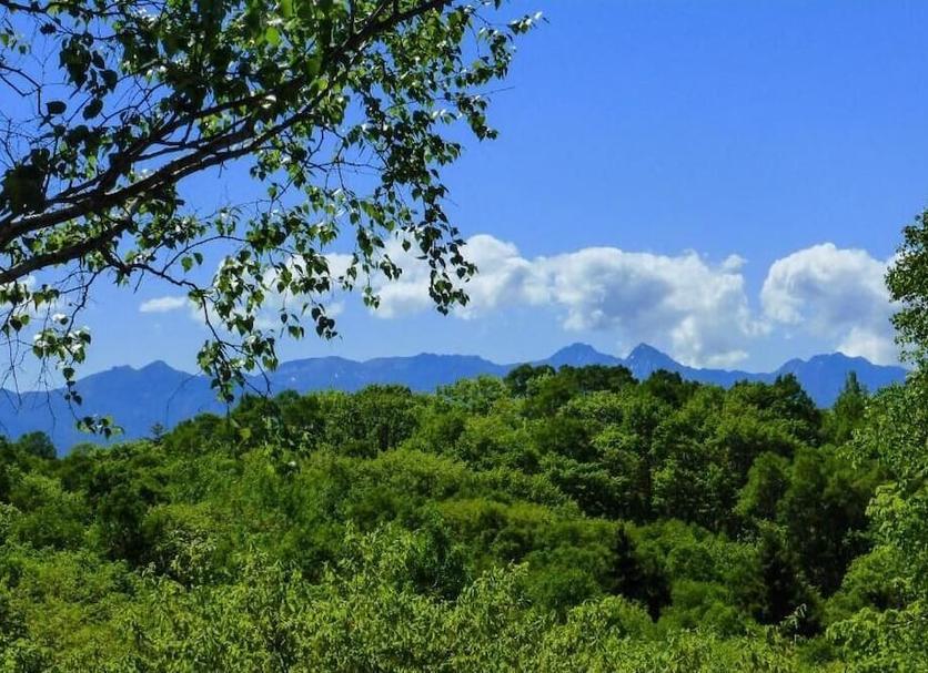 Outdoors view Photo
