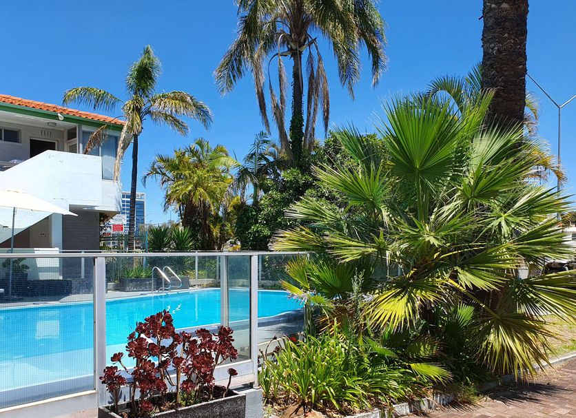 Econo Lodge Rivervale pool area with palm trees, glass fence, and sunny outdoor seating
