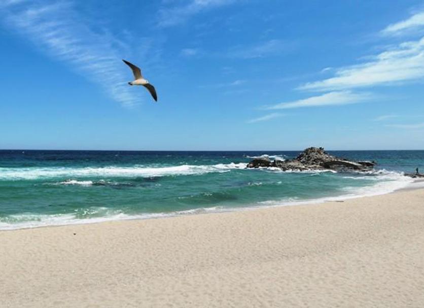 Beach Photo