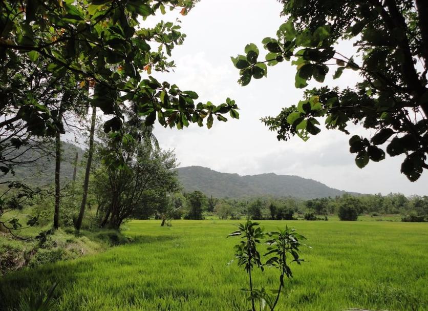 Outdoors view Photo