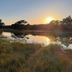 Guest viewing sunset over a pond at Witte Berken Natuurhotel in Epe