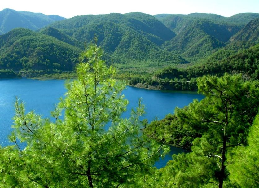 Outdoors view Photo