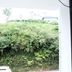 Karthika Residency in Munnar, hillside greenery seen from a window