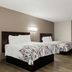 Red Roof Inn Hartford - New Britain guest room with two beds, desk, and window curtain