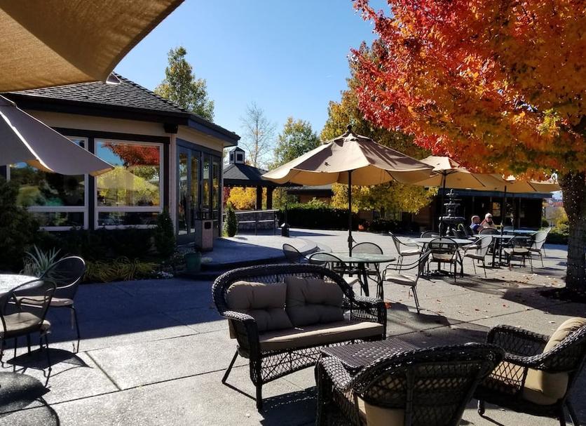 Patio Photo
