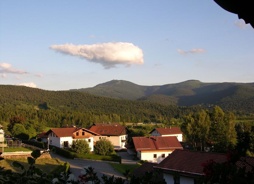 Other Photo