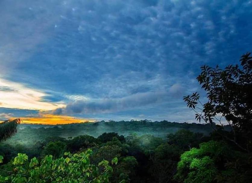 Outdoors view Photo