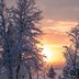 Arctic Gourmet Cabin in Kiruna with snow-covered trees at sunset
