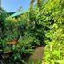 Cabinas Tortuguero Natural in Tortuguero with lush tropical garden and shower sign beside walkway