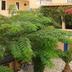 Outdoors view