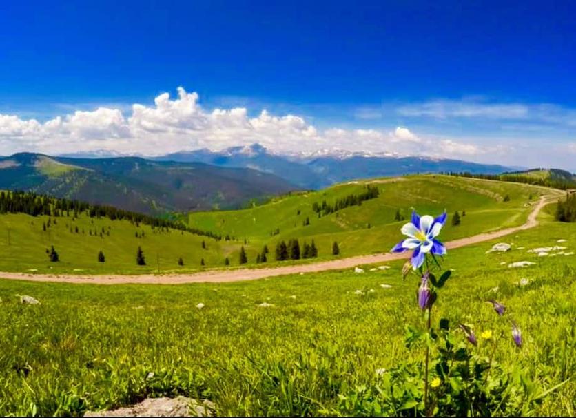 Outdoors view Photo