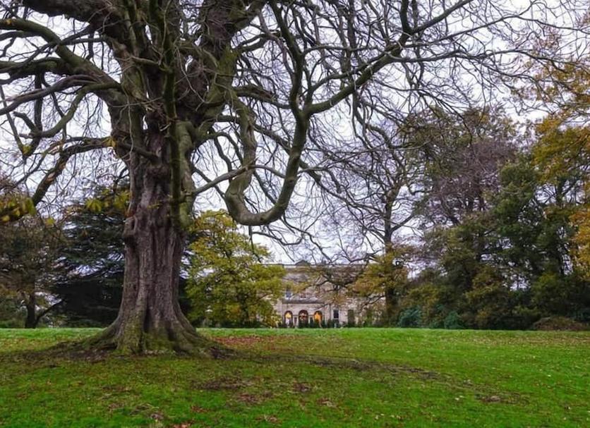 Outdoors view Photo