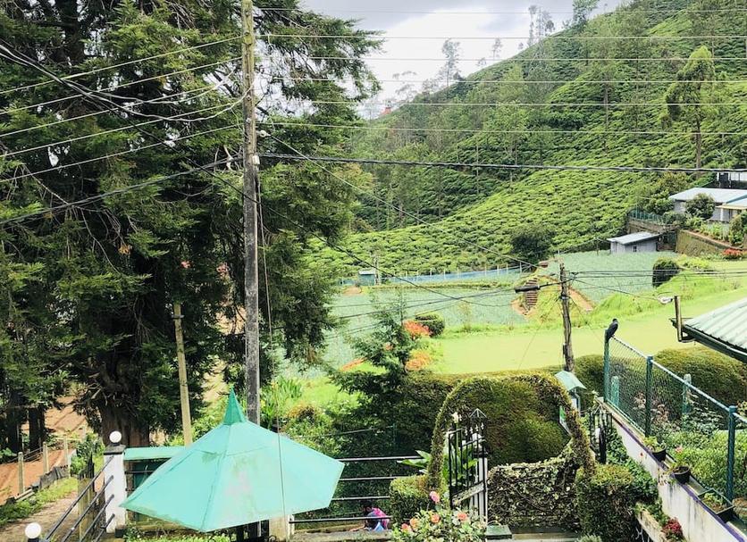 Outdoors view Photo
