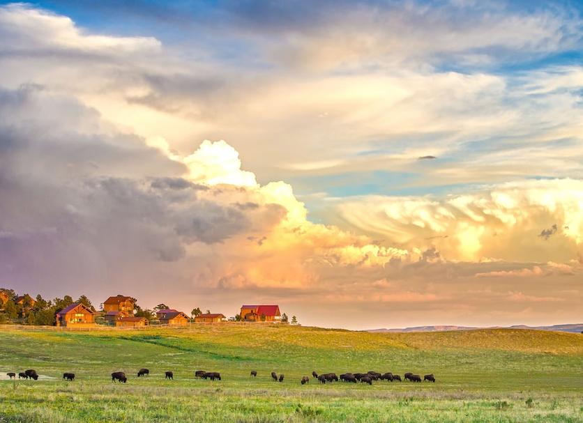 Outdoors view Photo