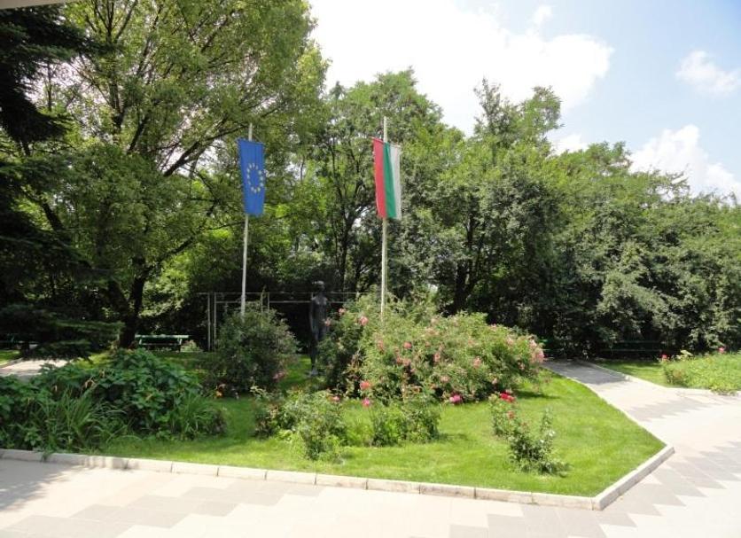 Outdoors view Photo
