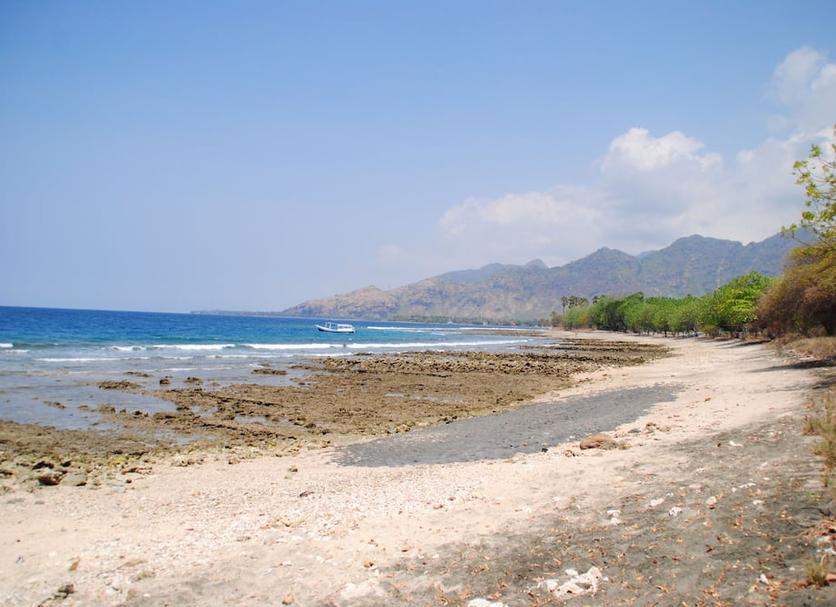 Beach Photo