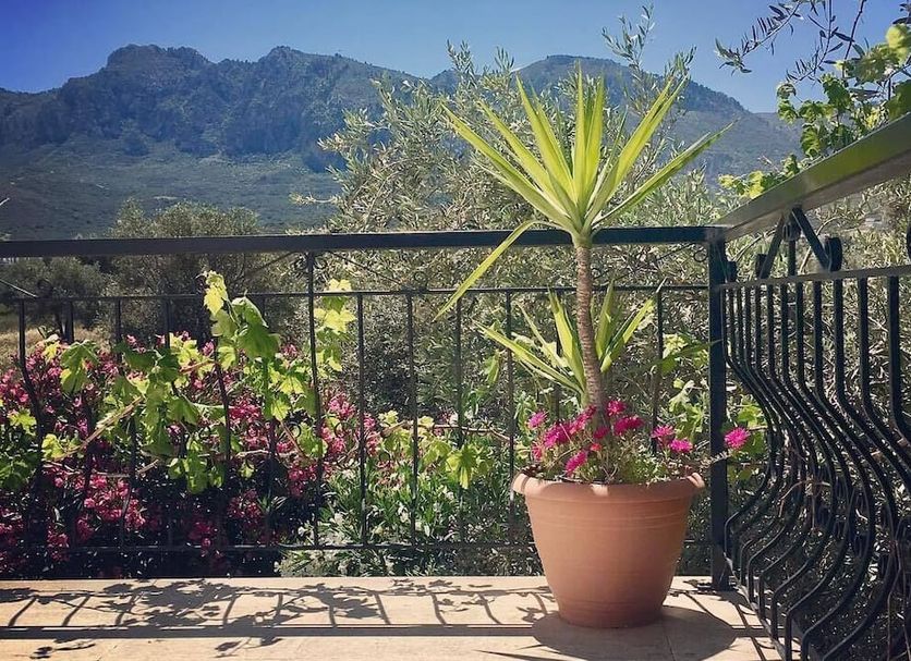 Bare Hill Holiday Apartments, Kyrenia: balcony with potted plant, flowers and mountain view