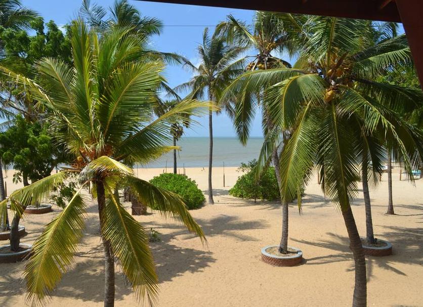 Outdoors view Photo
