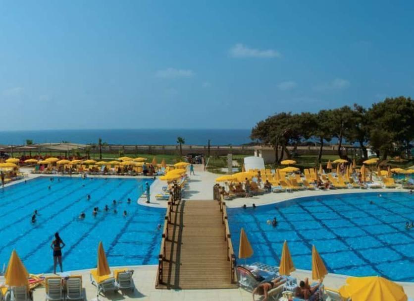 Pool Photo