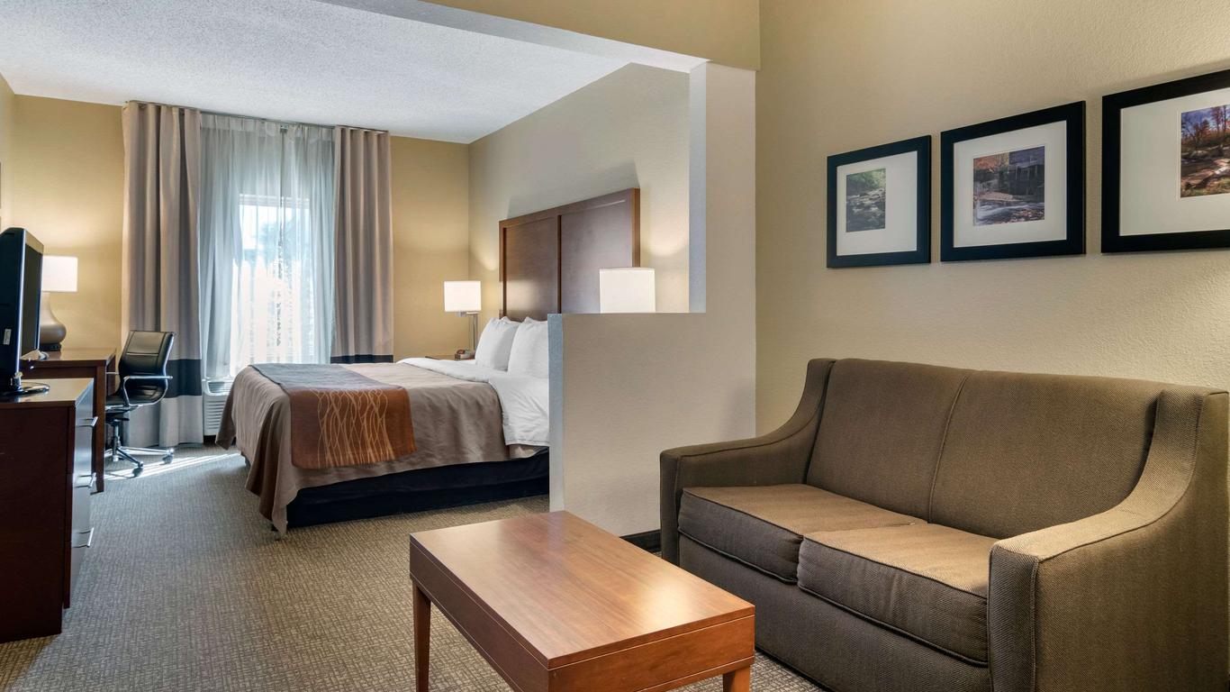 Comfort Inn & Suites Suwanee - Sugarloaf