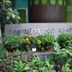 Suriwongse Hotel Bangkok entrance sign surrounded by lush tropical plants