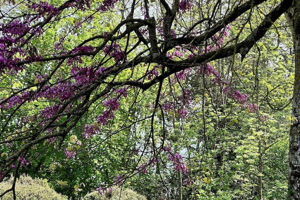 Outdoors view