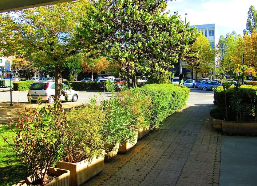 Outdoors view Photo