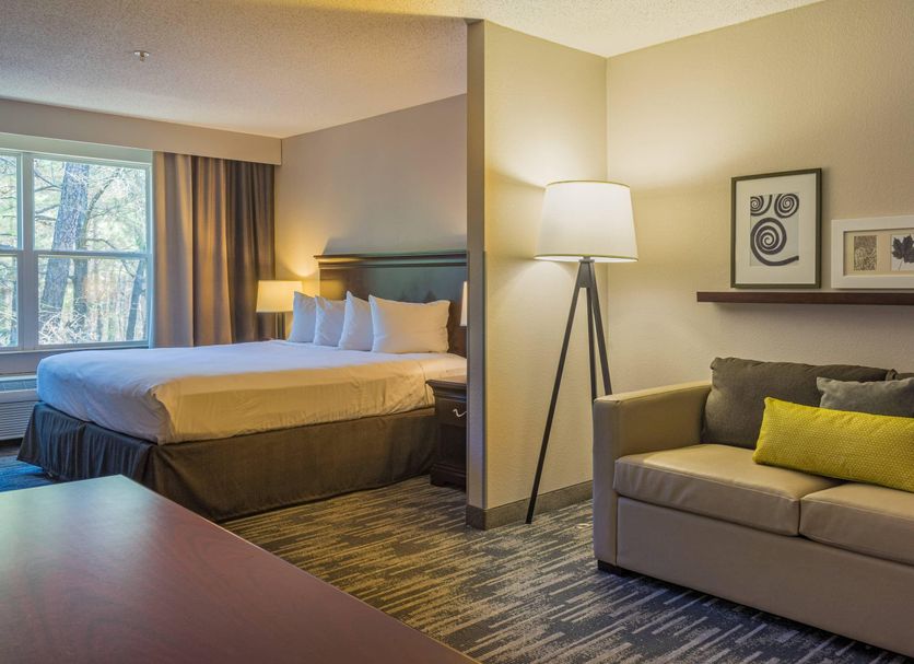 Country Inn & Suites by Radisson, Doswell, VA guest room with king bed, sofa, floor lamp and window view