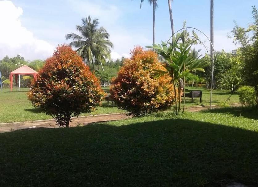 Outdoors view Photo