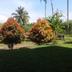 Outdoors view