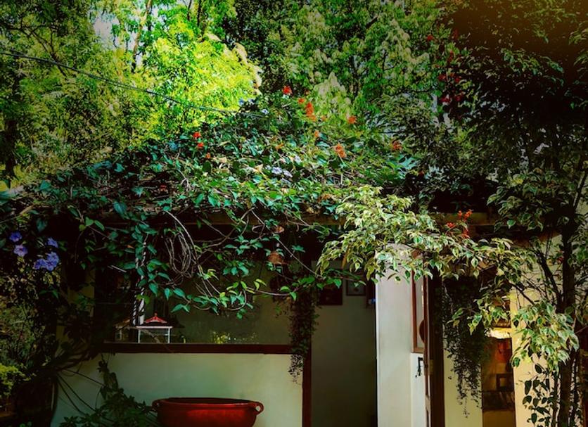 Outdoors view Photo