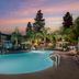 Best Western Porterville Inn pool at dusk with palm trees and glowing water in Porterville