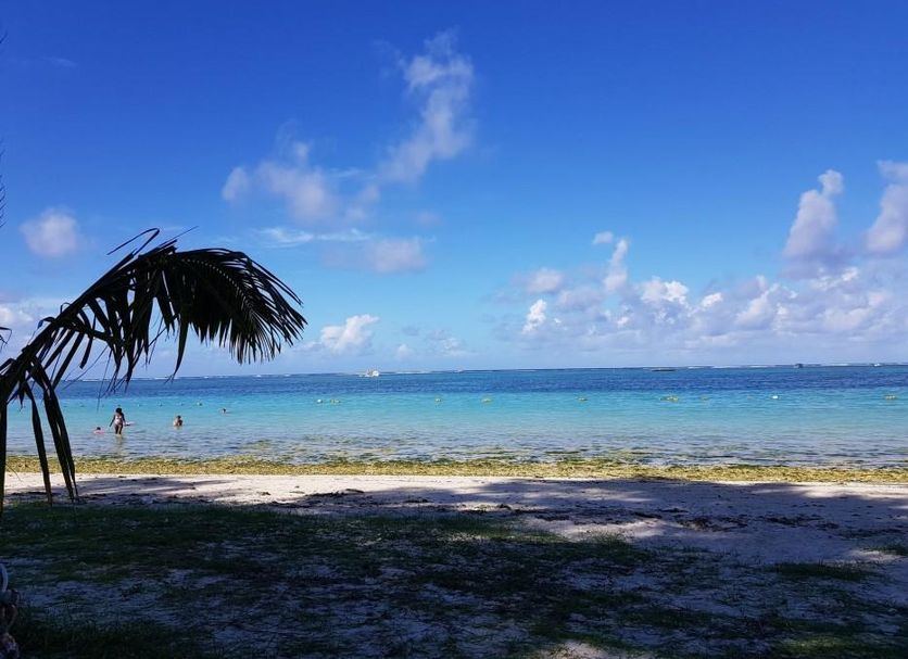 Beach Photo
