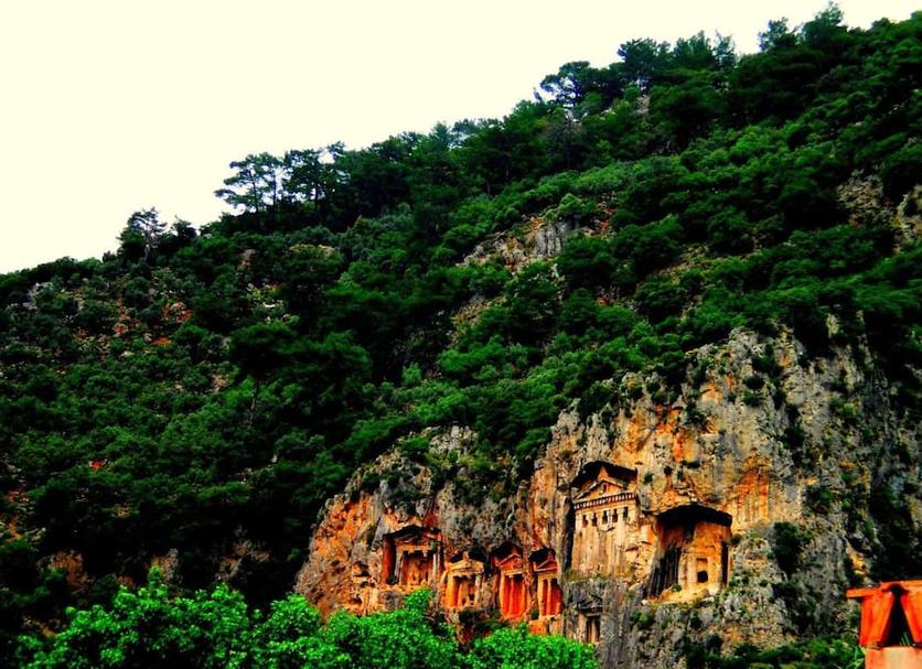 Other Photo