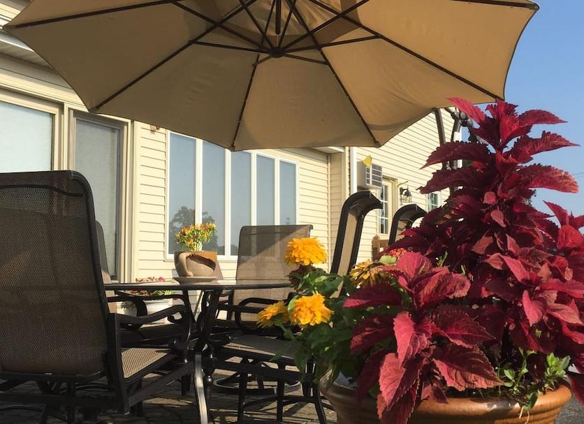Patio Photo