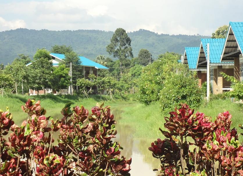 Outdoors view Photo